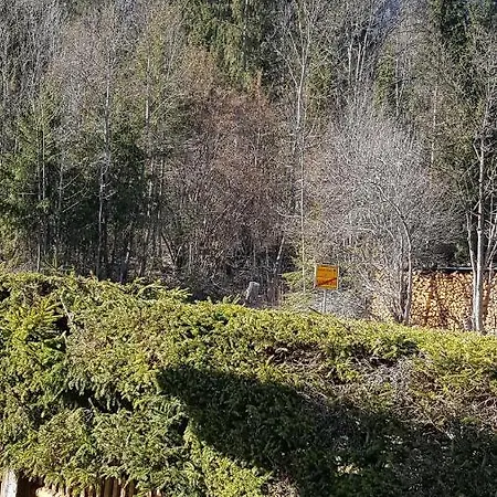 Daire Haus Betz Garmisch-Partenkirchen